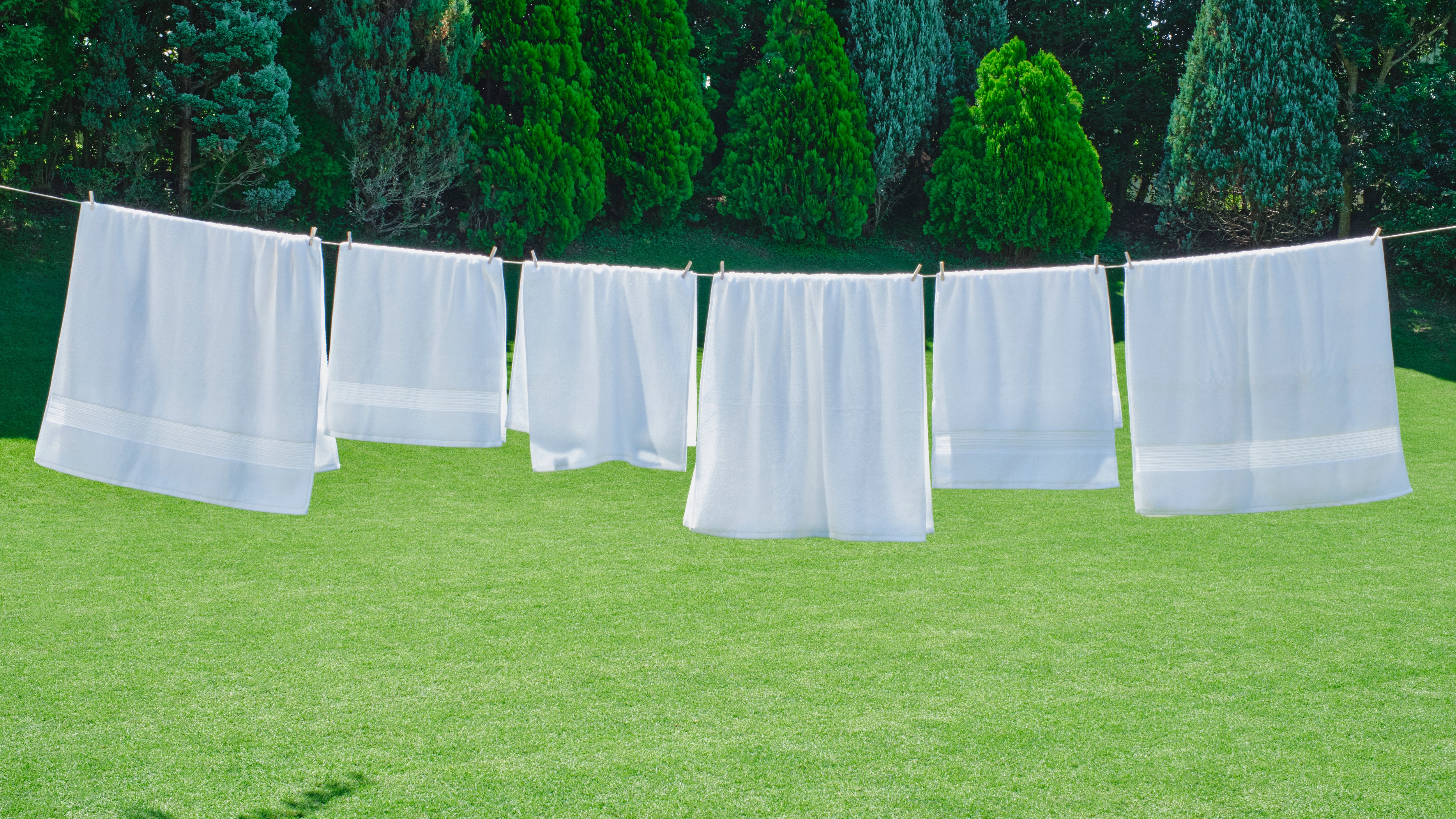 Micro Cotton – Gluxury